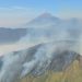 Karhutla Menghantam Lima Kawasan Gunung di Jawa Timur