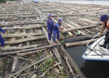 TNI AL Amankan 2 Kapal dengan 8 Ribu Kayu Ilegal di Pulau Buru