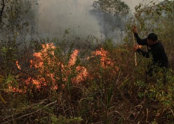 Malaysia Siapkan Bantuan Pesawat dan Helikopter untuk Atasi Karhutla