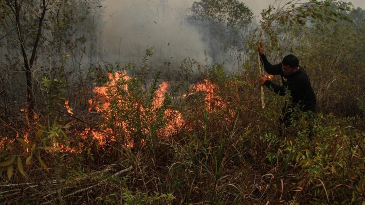 Malaysia Siapkan Bantuan Pesawat dan Helikopter untuk Atasi Karhutla