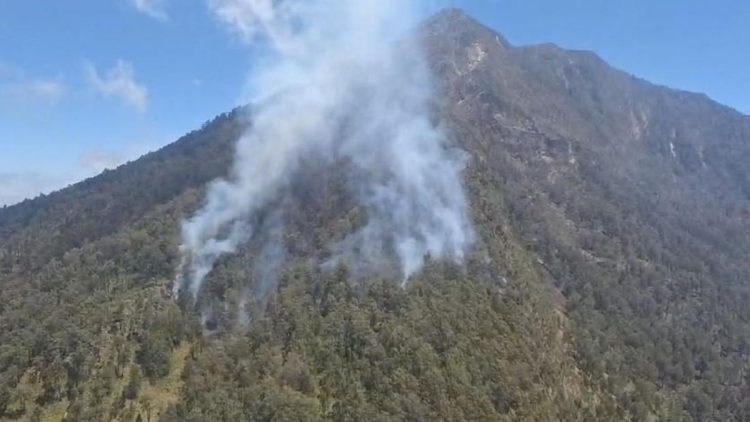 110 Pendaki Arjuno-Welirang Dievakuasi Karena Kebakaran Hutan, Semua Selamat